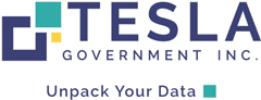 Tesla Government